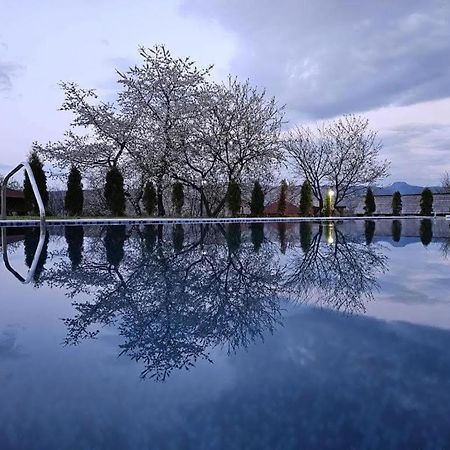 Soare-N Maramures Budeşti Zewnętrze zdjęcie